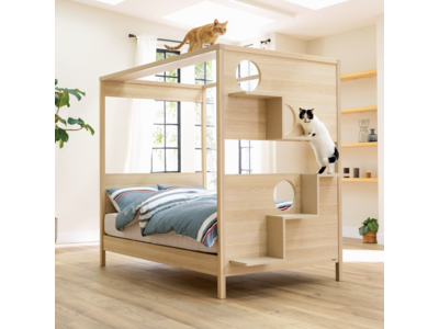 ディノスから、愛猫と飼い主との距離がさらに縮まる猫家具を新発売