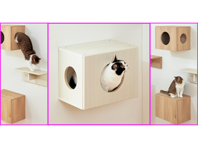 【新商品】ネコ好き社員が考えた愛猫のステップと壁面収納の両立を叶える家具をディノスが発売