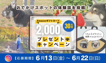 抽選でAmazonギフトカードが当たる！「休日いぬ部」、愛犬と行って良かった“おすすめスポット”投稿キャンペーン第二弾を開催！