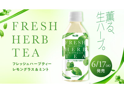 “もったいない”をおいしさに変える挑戦 忙しい日常に、生ハーブのごほうびを 「フレッシュハーブティー レ...