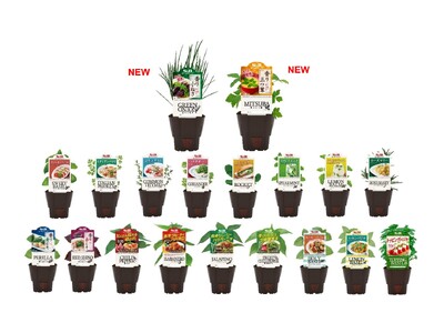 前年を大幅に上回る反響の「S&Bハーブ苗」！「香り小ねぎ」「香り三つ葉」を新たに加えた全１９品　４月１日...