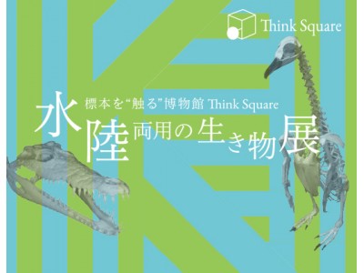 標本に“触る”博物館　“Think Square”「水陸両用の生き物展」を開催