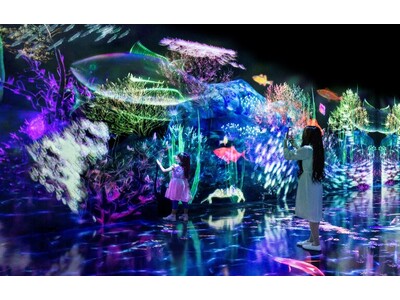 スマホで海の生き物を捕まえ、観察する学びのプロジェクト「Galaxy Harajuku」のチームラボの作品空間がリニューアル《捕まえて集める恵みの海》 9月29日（木）オープン