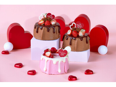 【冬季限定】バレンタインコレクション&リッチチョコレートシフォンケーキが登場！