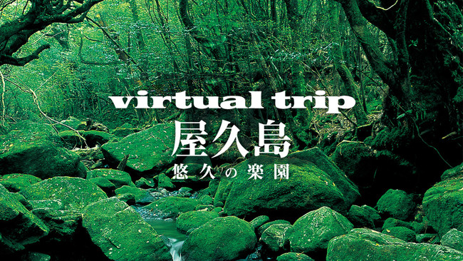 Ȃ̃j^[E̔iFƂȂ闷̓ɁBBGṼpCIjAwvirtual tripxV[YYouTube`l{inI