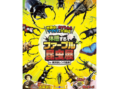 世界中のカブトムシ・クワガタが大集結！この夏は「体感するファーブル昆虫展 in 横浜赤レンガ倉庫」