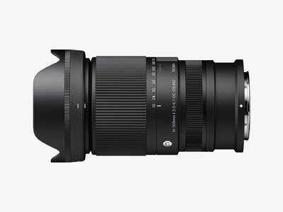 Sigma 16-300mm F3.5-6.7 DC OS | Contemporary�j�R�� Z �}�E���g�p���\����є���������̂��m�点