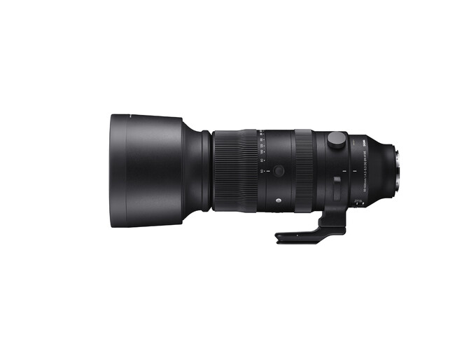 SIGMA 60-600mm F4.5-6.3 DG DN OS | Sports\єEîm点