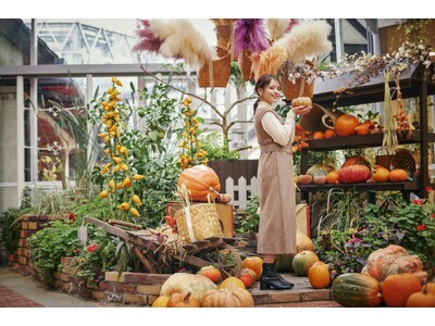 かぼちゃ約300個とドライフラワーのハロウィン”映えスポット”が登場。神戸布引ハーブ園の「ハロウィンフェ...