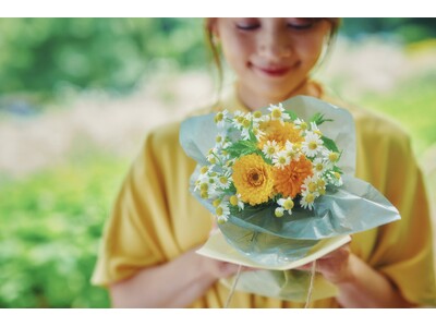 春を代表するハーブ”カモミール”と”ポットマリーゴールド”が満開の神戸布引ハーブ園。摘みたてのハーブ＆フ...