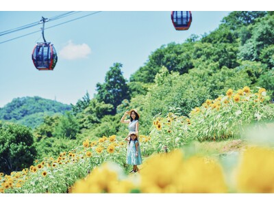 「きっと忘れない夏GARDEN FEST 2024-Summer-」がスタート。神戸布引ハーブ園が夏のリゾートに様変わり。昼は遊んで食べて、夜は「夜景×イルミネーション×ビアテラス」と丸一日過ごせます