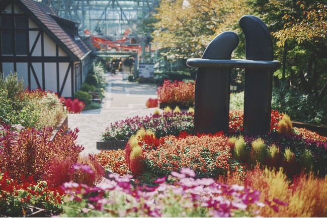 神戸のコキアの名所”神戸布引ハーブ園”。コキアが間もなく見ごろです。赤一色に染まるガーデンのコキア、神戸の街並みに溶け込むコキア、秋の花々と一緒に咲き集うコキア、3つのロケーションで楽しめます。