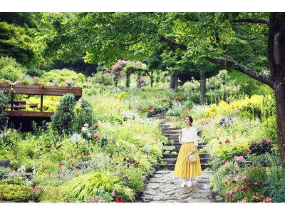 ”まるで絵画の中に迷いこんだような”ロケーション。神戸布引ハーブ園のコンセプトガーデン「四季の庭」が今ま...