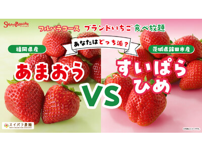 【スイパラでいちご狩り】いちごの王様「あまおう」 vs 2年連続大賞農家の「すいぱらひめ」を食べ比べ！贅沢「こぼれいちごのショートケーキ」も登場