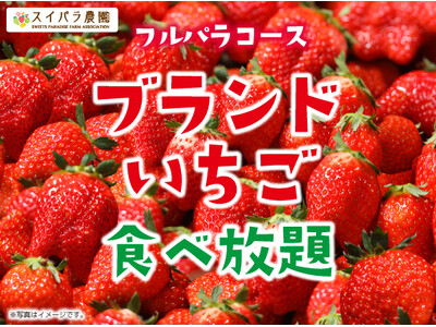 【スイパラでいちご狩り】旬の国産ブランドいちごが食べ放題！春休みはフルパラコースでいちごを好きなだけ