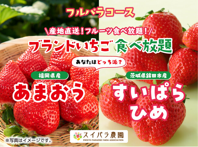 「あまおう」「すいぱらひめ」あなたはどっち派？　2/20からの「ブランドいちご食べ放題」では大人気ブランドいちごの食べ比べを開催！