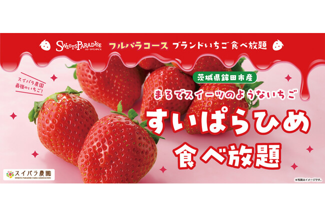 【まるでスイーツのようないちご】スイパラオリジナルいちご「すいぱらひめ」が食べ放題♪3/13より国産ブランドいちご食べ放題第3弾「すいぱらひめ食べ放題」開催決定！