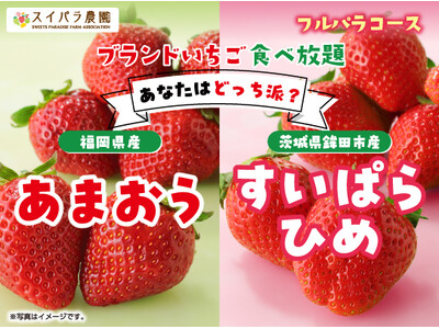 【スイパラでいちご食べ比べ】「あまおう」と「すいぱらひめ」あなたはどっち派？4/10からの「国産ブランド...