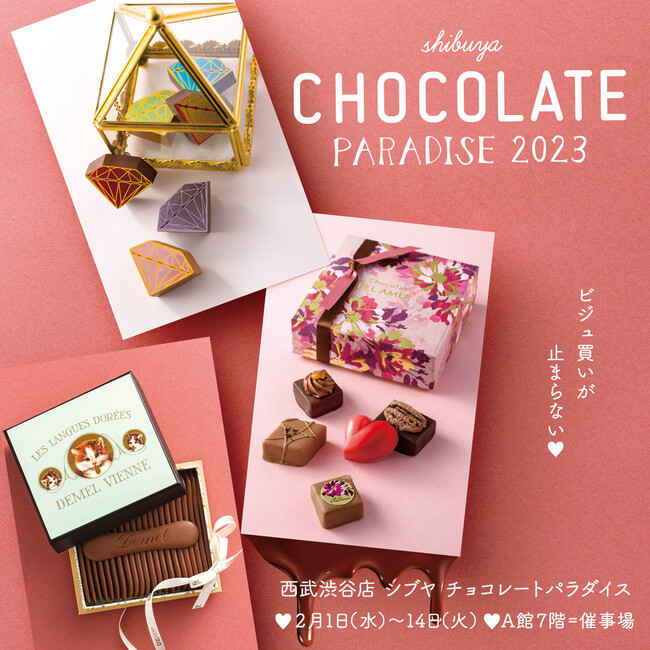 西武渋谷店のバレンタイン“CHOCOLATE PARADISE ２０２３”ガーナでチョコレート工場を経営する田口愛氏が来店