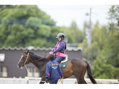 【そごう・西武】2026年福袋