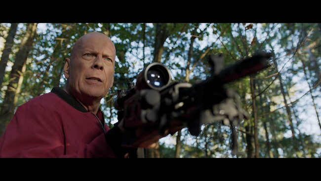 u[XEEBX剉IwLEQ[xDVD 1/11()I