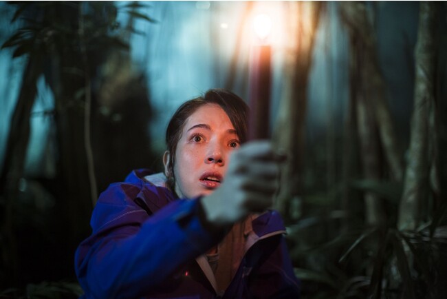 wg̏xDVD&szMIpz[u[̐삯ƂȂqbgV[YI