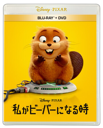 『私がビーバーになる時』ブルーレイ＋DVD セット、4K UHD＋ブルーレイ セット2026年7月22日（水）発売！もしも、動物の世界に入れたら？究極の“もふもふ”アドベンチャー！