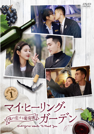 ÂĐ؂Ȃɂ̃q[OEu}Xu}CEq[OEK[f`l̗镒`vDVD-BOX 11/2()蔭I