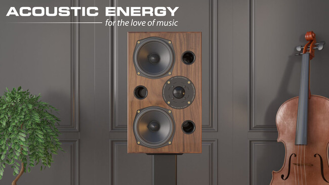 ���^���j�^�[�X�s�[�J�[�̓`���A�p�� Acoustic Energy ���{�A���J�n�I