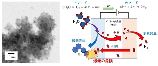 プレスリリース「田中貴金属工業、「PEM形水電解用電極触媒の開発と実用化」が「2025年度 触媒工業協会技術賞」を受賞」のイメージ画像