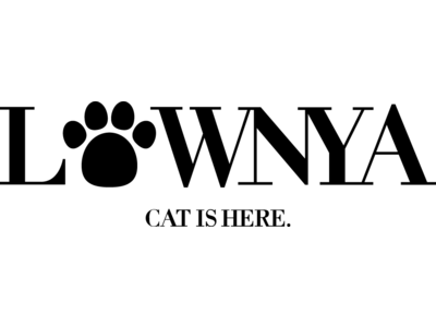 2022年2月22日、100年に1度の猫の日に！LOWNYA（nyans×ニャンバサダー×LOWYA）が企画開発した理想の猫家具が完成したにゃ！