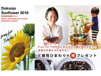 Pray for TOHOKU　みんなで一緒に咲かせよう！未来の子供たちに伝えたい、ど根性ひまわりの種プレゼント