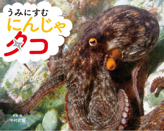 【8月8日はタコの日です】タコの足、実は8本の「うで」だった。――「海の忍者」の謎に迫る写真絵本が発売中