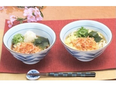 讃岐うどん「製麺大学」が「桜えびフェア」を開催！