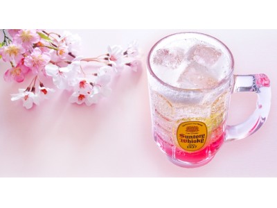 築地銀だこハイボール酒場（店舗限定）で桜が満開!!