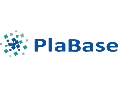 【12月開催】PlaBase（プラベース）/PlaQuick（プラクイック）が「高機能素材Week2018」に出展いたします