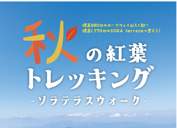 標高1,770mまで登る秋の紅葉トレッキング、長野県 竜王マウンテンリゾートで「ソラテラスウォーク」を初開催！