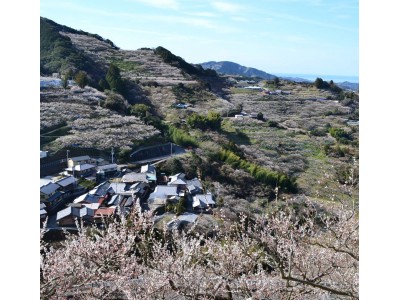 和歌山県みなべ・田辺地域で『第5回東アジア農業遺産学会（ERAHS）』を開催！2018年8月26日（日）～29日（水）