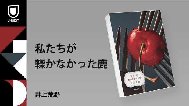 プレスリリース「ドラマ化で話題『照子と瑠衣』の著者で、短編の名手・井上荒野の"劇薬"小説集『私たちが轢かなかった鹿』が6月20日発売」のイメージ画像