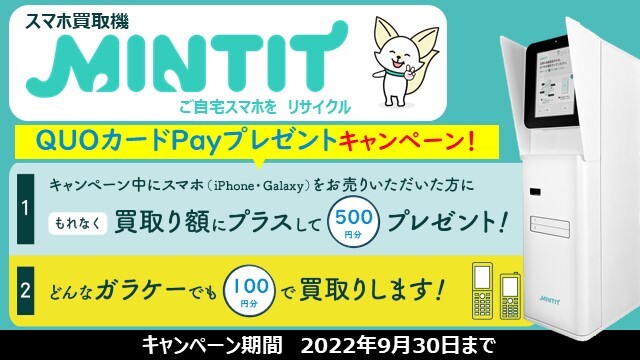 {1AIڂ̖lX}z@uMINTIT(~eBbg)vŔzɃvXQUOJ[hPay500~v[guX}zLy[vJ