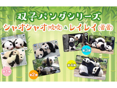 上野動物園　双子パンダ 「シャオシャオ&レイレイ」オリジナルデザイン　QUOカード&QUOカードPay　シリーズ第4弾新発売！