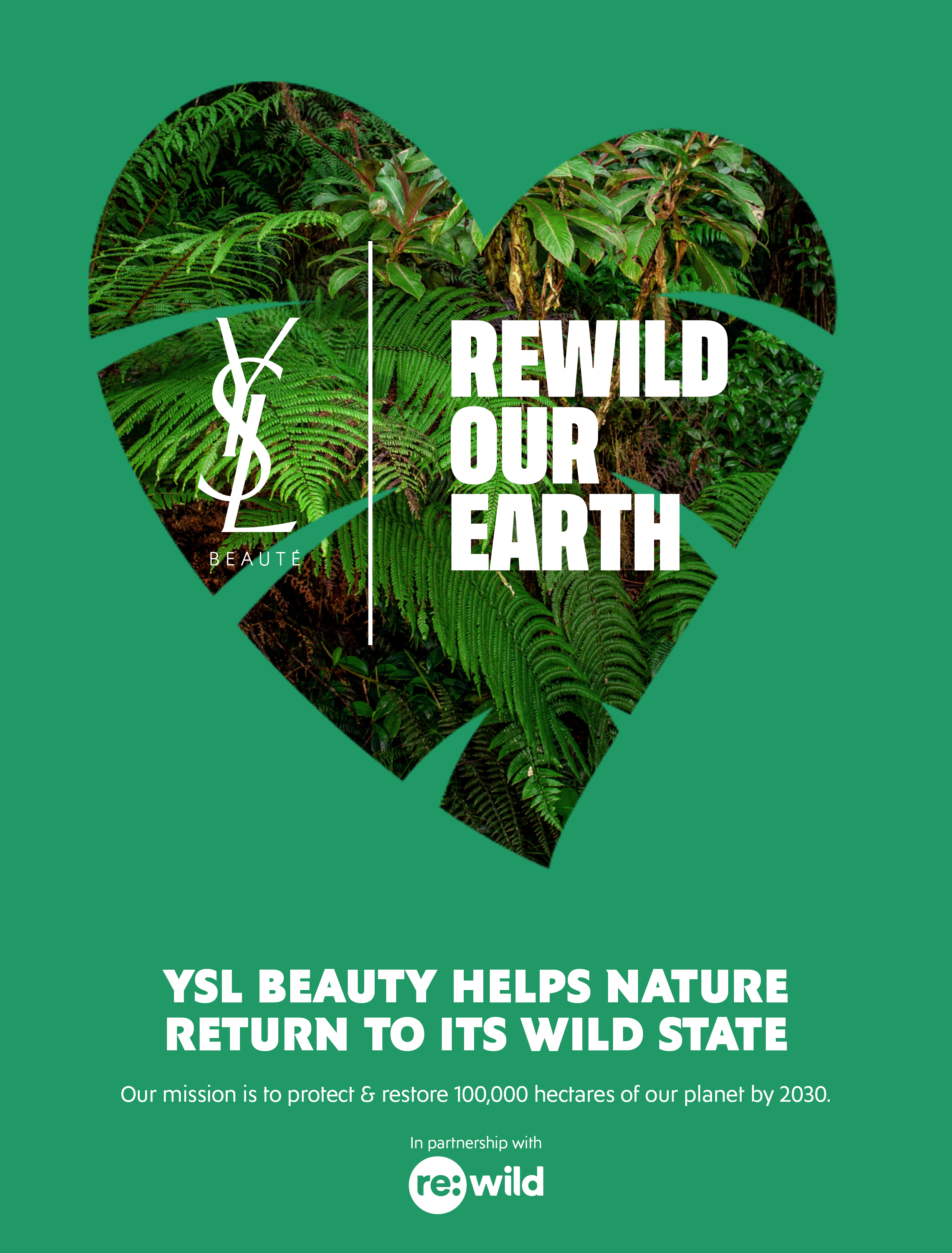 【YSL BEAUTY】世界的なNGO「RE:WILD」と協働し、大規模なサステナビリティ活動をスタート。