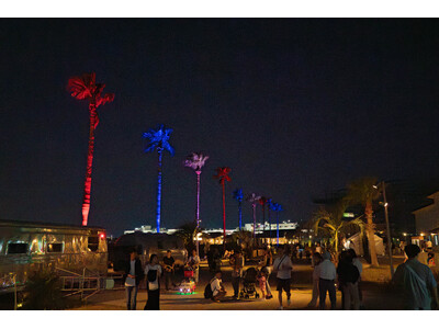 【開催レポート】「Aurora Palm Tree 2025」~万博カラーに彩られたヤシの木とBBQラウ...