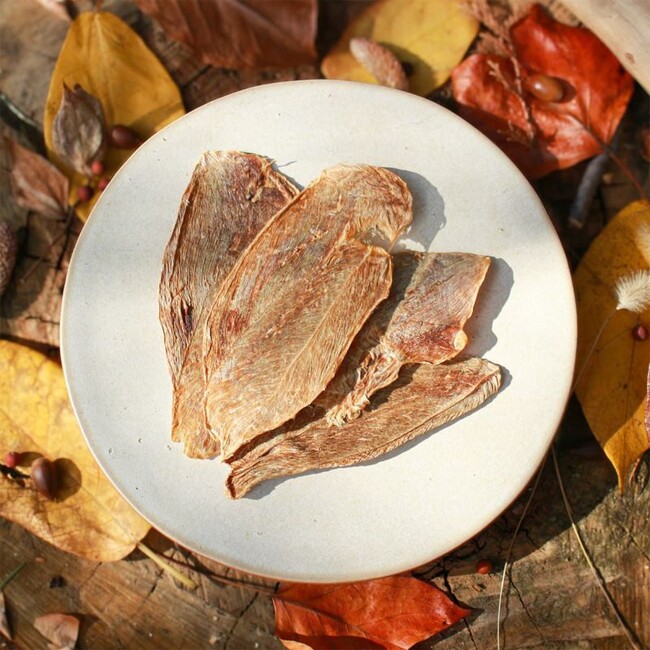 処分されていた命を、愛犬愛猫のためのおやつへ。アップサイクルする取り組み「MOTTAINU LAB（モッタイヌラボ）」を始動！第1弾「九十九谷産 鹿の旨味ジャーキー」発売！