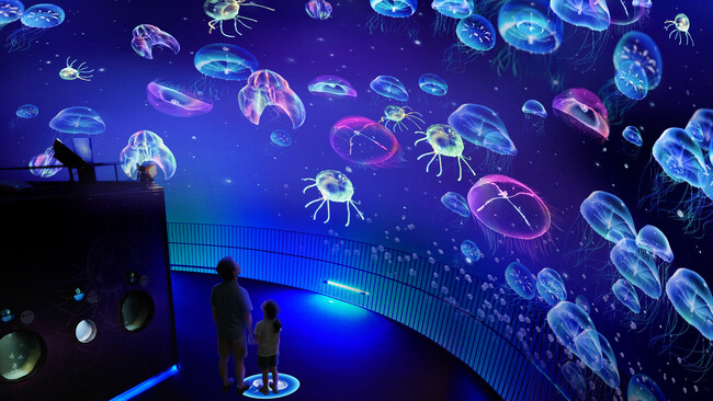 curiosity、九十九島(くじゅうくしま)水族館海きららのクラゲシンフォニードームに新インスタレーション「ステップハーモニー」を開発！
