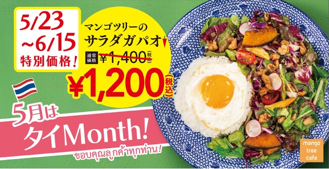 【5月はタイMonth】タイの魅力を「マンゴツリーカフェ」でお得に！人気No.1の「サラダガパオ200円引きタイMonthキャンペーン」開催