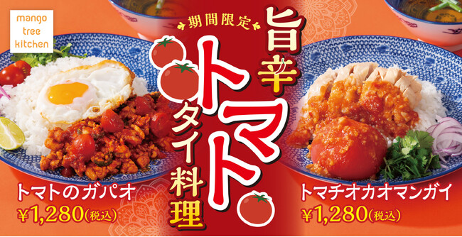 【夏のタイ料理】トマトのガパオ＆トマチオカオマンガイがマンゴツリーキッチンに新登場！