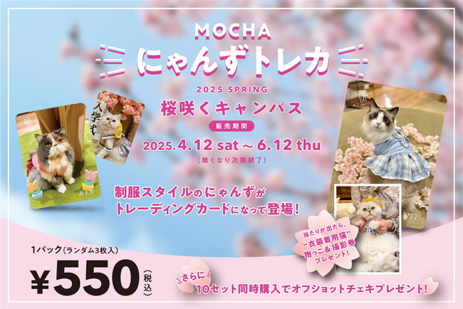 SNSで話題沸騰のMOCHAにゃんずトレカが1周年！春限定トレカ＆持ち運べるトレカケース付き猫型フォンタブが同時発売！「MOCHAにゃんずトレカ～2025 Spring～桜咲くキャンパス&にゃんタブ」