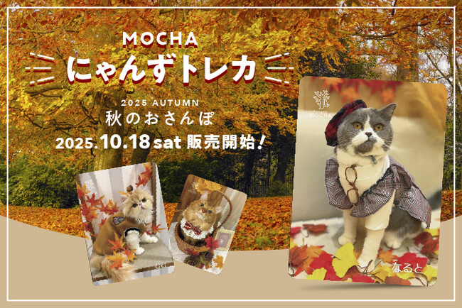 秋風情の溢れる紅葉や落ち葉と共ににゃんずたちが大集合！期間