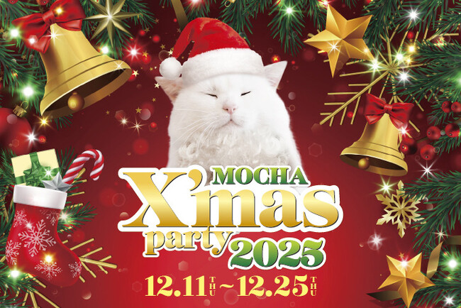 今年もMOCHAのにゃんずと過ごす、心ときめくクリスマスを！「MOCHA